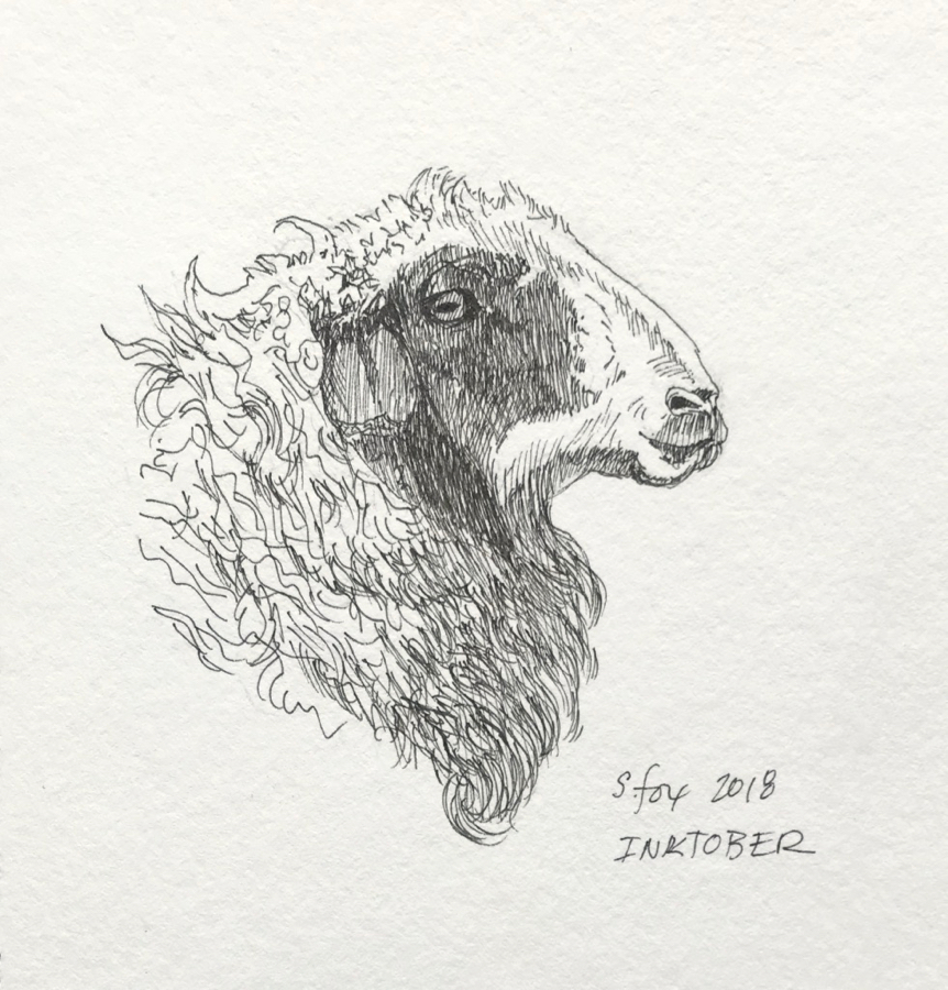 Inktober 4- Mongolian sheep