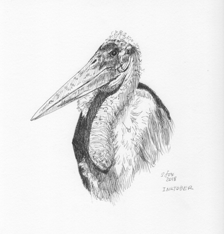 Inktober 5- Marabou stork.jpeg