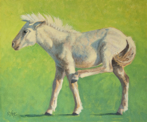 Scratch-That-Itch website page 300